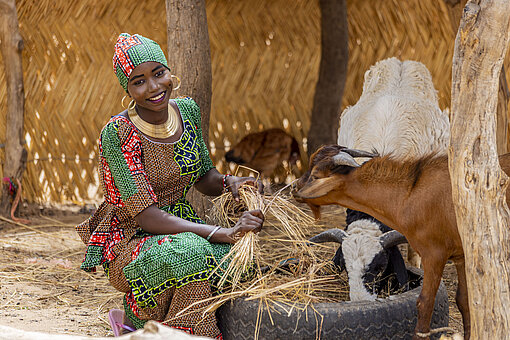 Eine junge nigrische Frau sitzt in der Hocke und füttert eine Ziege mit Stroh