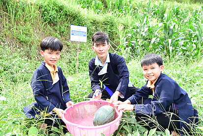 Jungen sitzen um einen Korb mit einer Melone