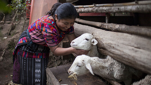 Ställe für Jugendliche in Bolivien