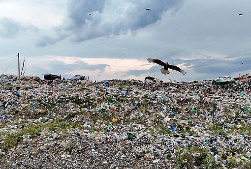 Über einem Berg von abgeladenem Abfall kreisen Vögel