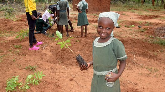 Baumschulen für den Klimaschutz in Sambia