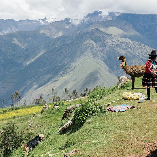 Berg-Landschaft in den Anden
