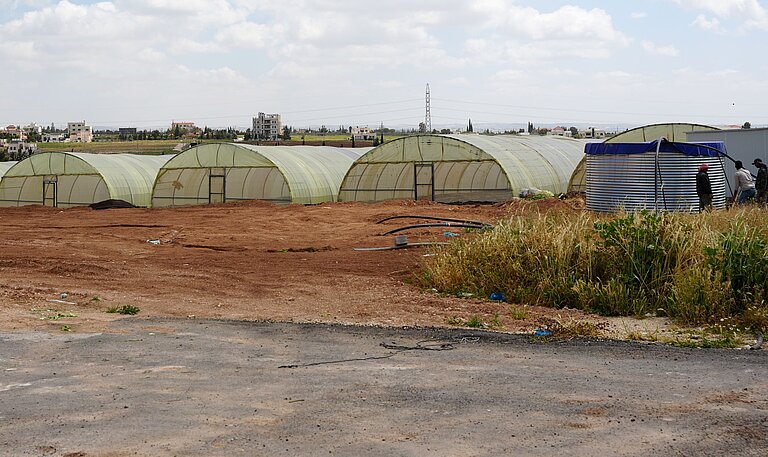 Mehrere Folientunnel auf dem Gelände von Hypo Farm, in denen Kräuter und Gemüse mithilfe der Hydrokultur angebaut werden