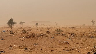 Verbrannte Erde in Jere, Nigeria