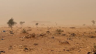 Verbrannte Erde in Jere, Nigeria