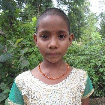 Jasmin, Indien Jasmin