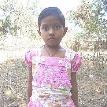 Bulbuli, Indien Bulbuli