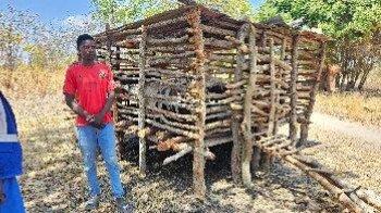 Favour, Sambia Favour