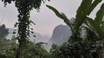 Ho Thi Nang, Vietnam Ho Thi Nang