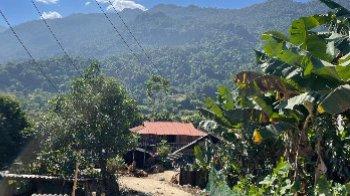 Vang Thi, Vietnam Vang Thi