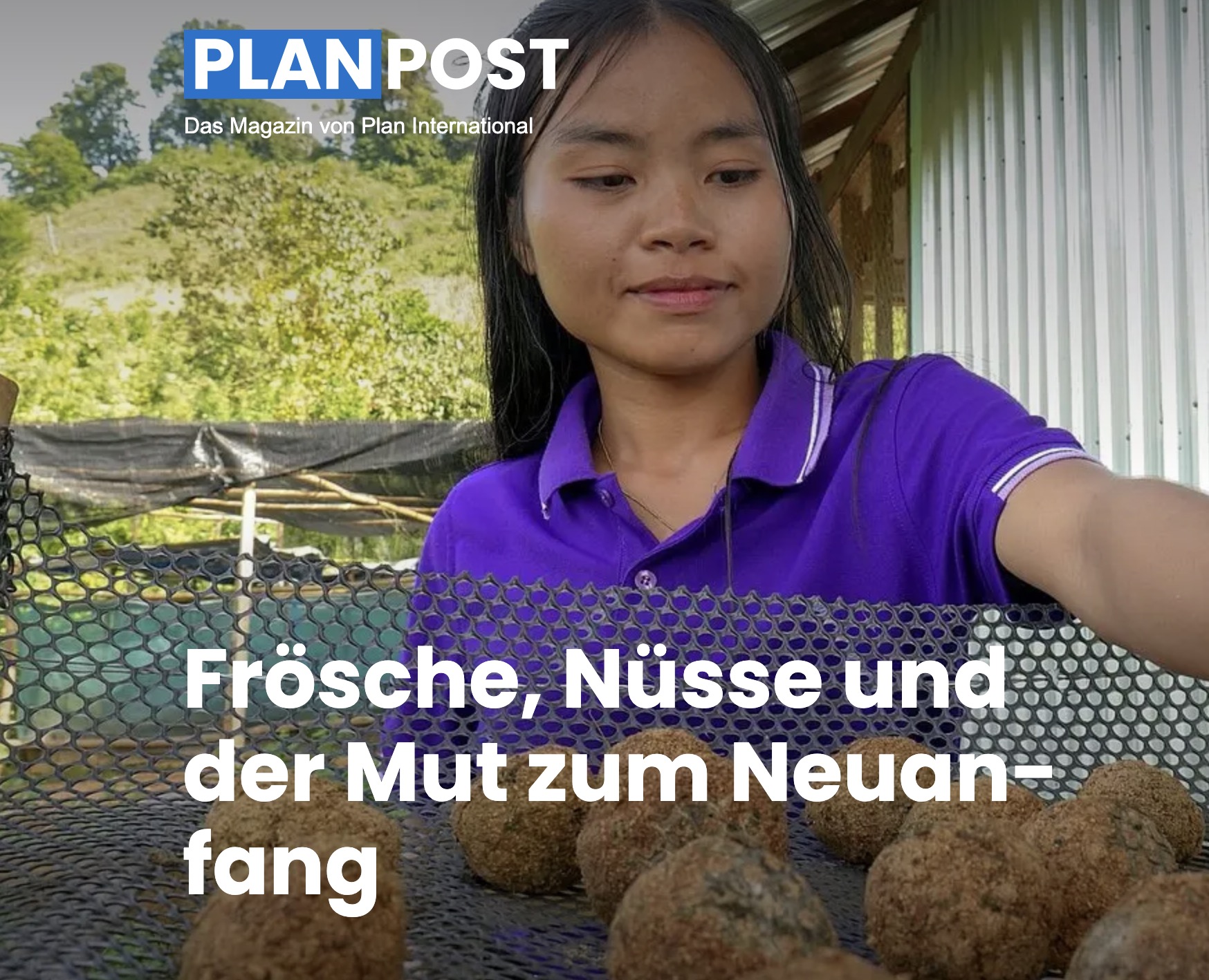  Frösche, Nüsse und der Mut zum Neuanfang 